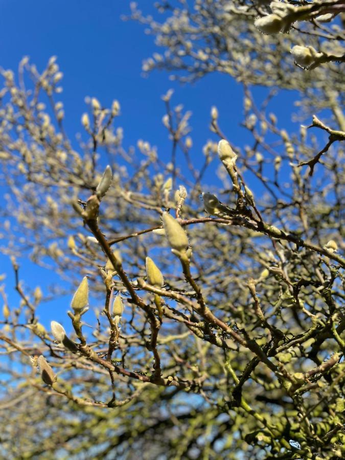 Feriehus I Skon Natur Stenstrup Bagian luar foto