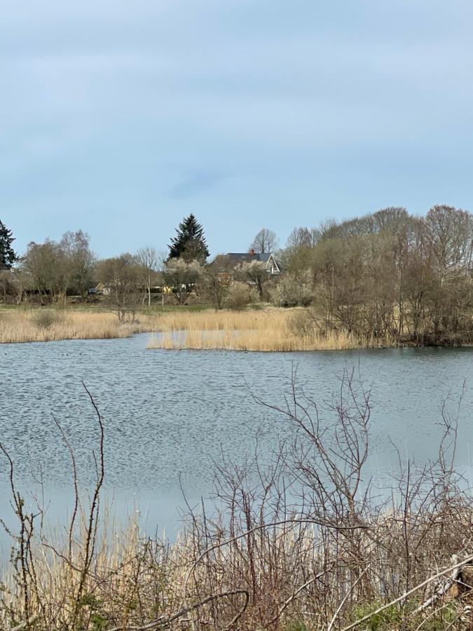 Feriehus I Skon Natur Stenstrup Bagian luar foto
